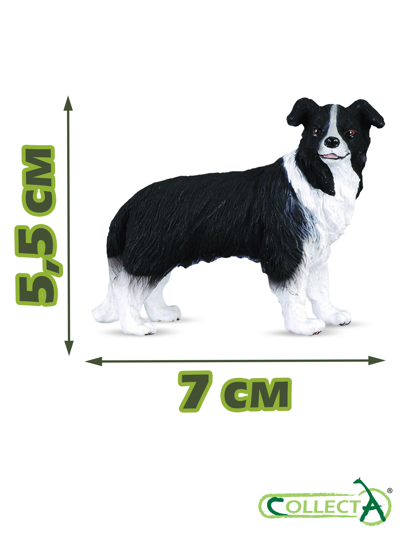 Фигурка Collecta Собака Бордер-колли - фото 2