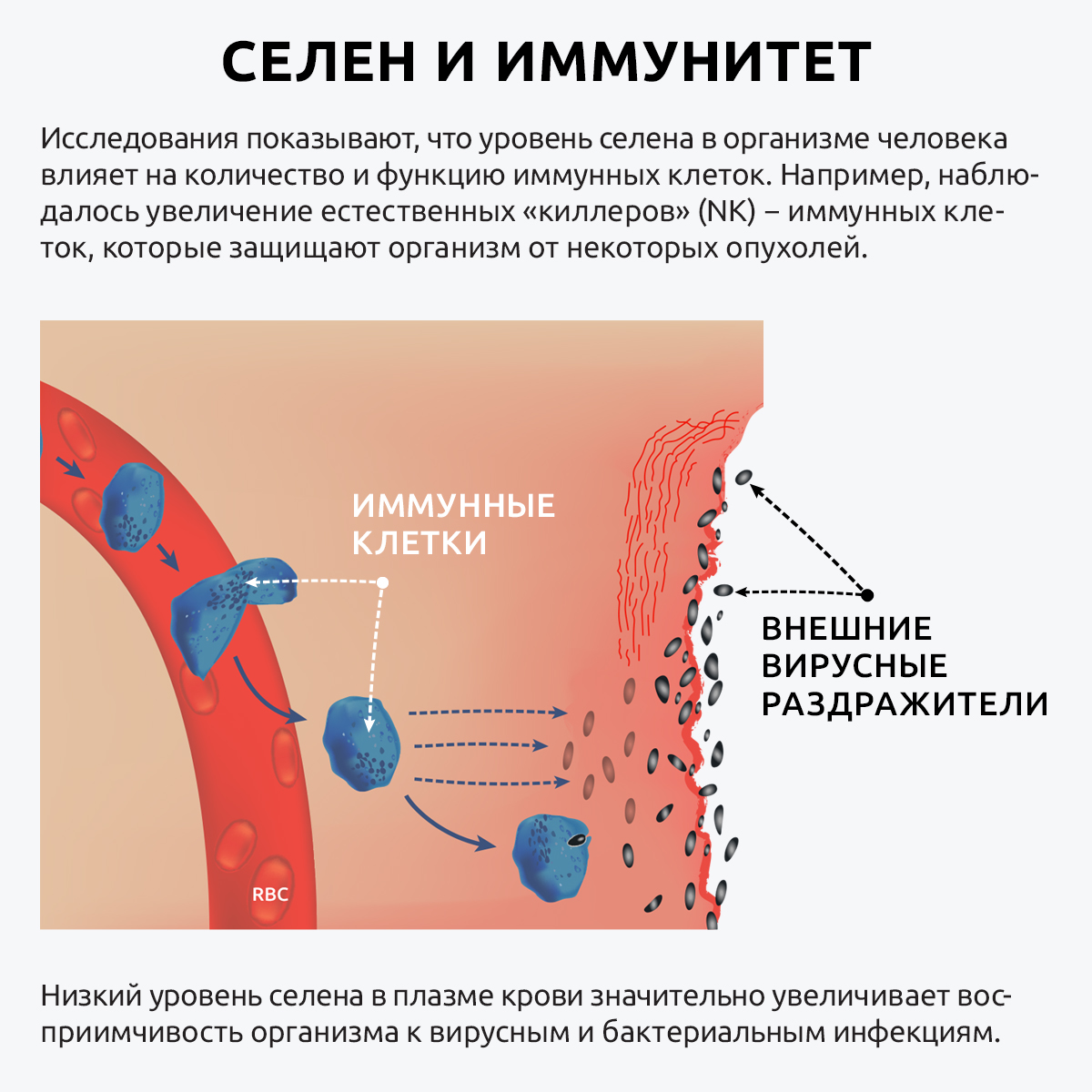 Витамины от выпадения волос UltraBalance селен хелат железа премиум с биоперином - фото 8