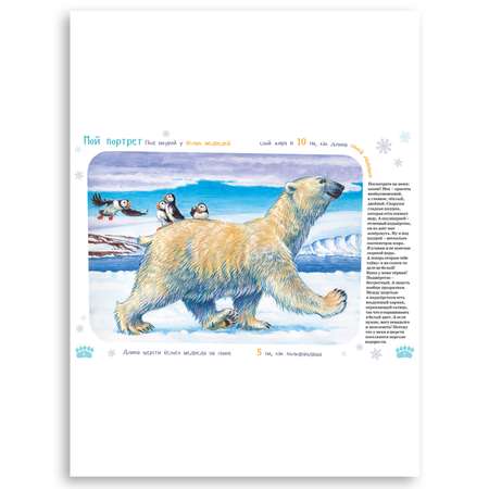 Книга Альпина. Дети Я Белый медведь c раскрасками