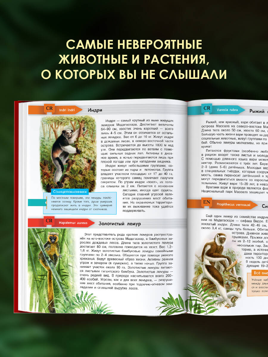 Книга АСТ Красная книга мира - фото 2