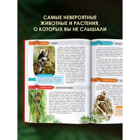Книга АСТ Красная книга мира