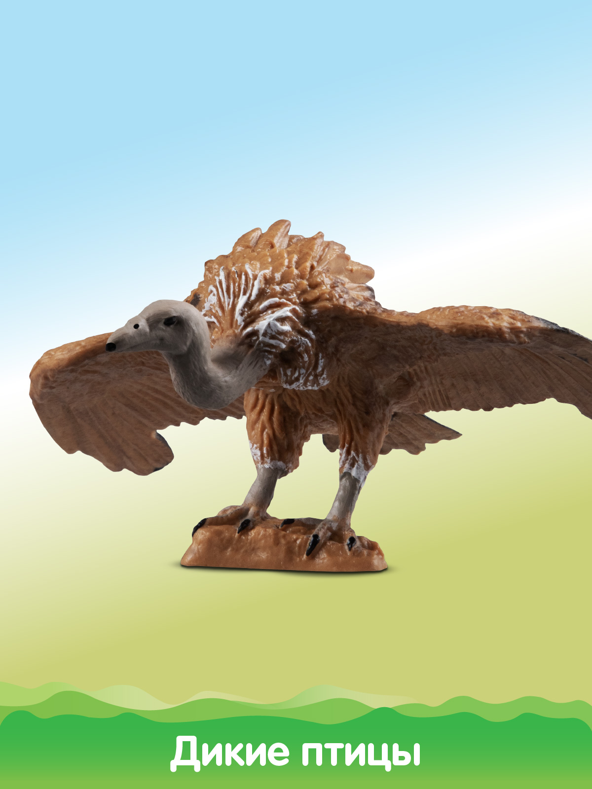 Игровой набор DARWIN Животные Птицы - фото 7