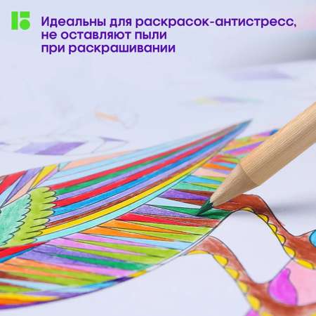 Карандаши цветные BERLINGO 12 шт.