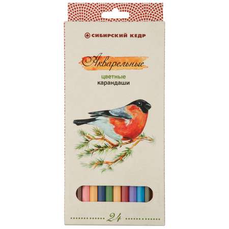 Карандаши цветные СКФ 24 шт.