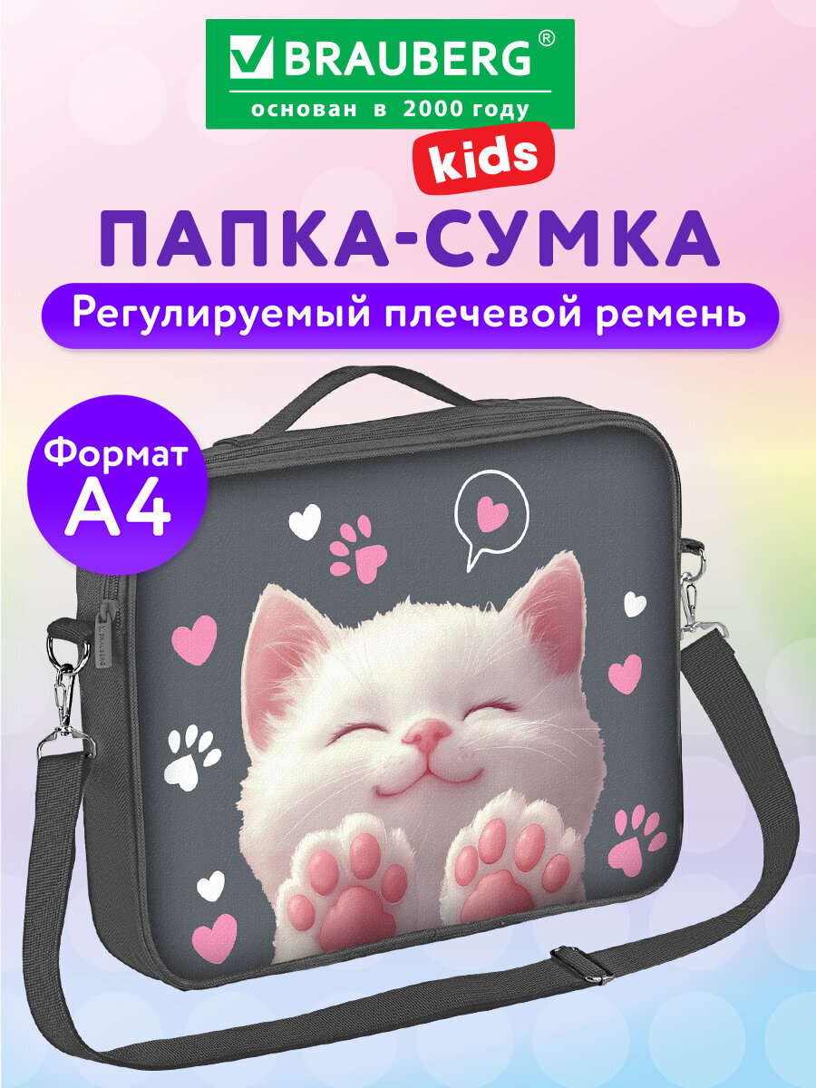 Папка для тетрадей Brauberg А4 - фото 1