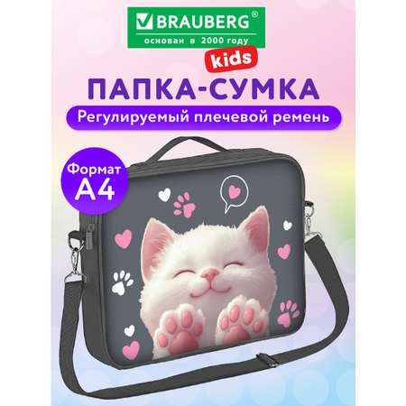 Папка для тетрадей Brauberg А4