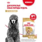 Корм для собак ROYAL CANIN Poodle Adult Пудель Эдалт сухой для взрослых собак породы пудель 1.5кг