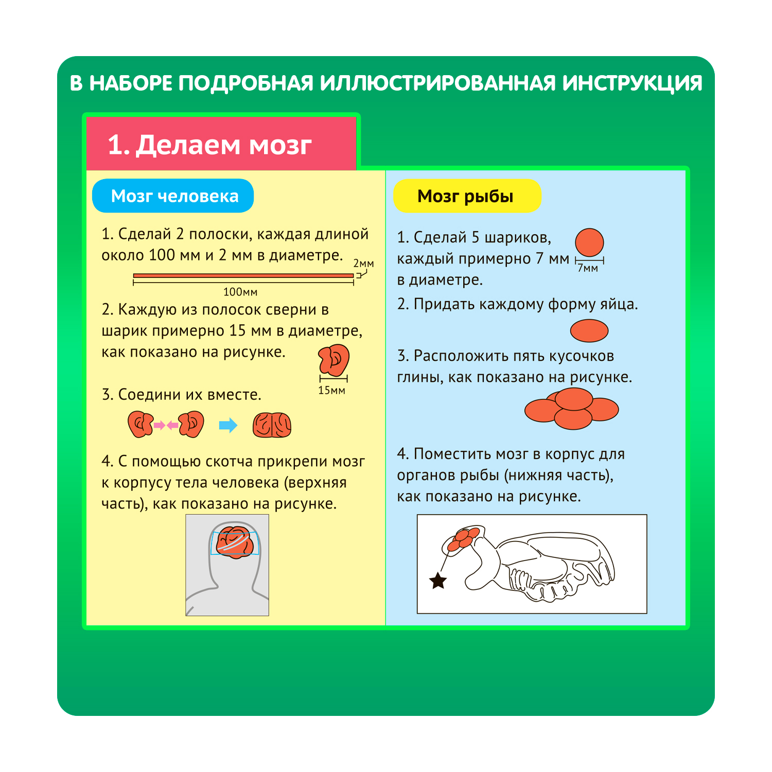 Набор для опытов Bondibon Науки с Буки - фото 6
