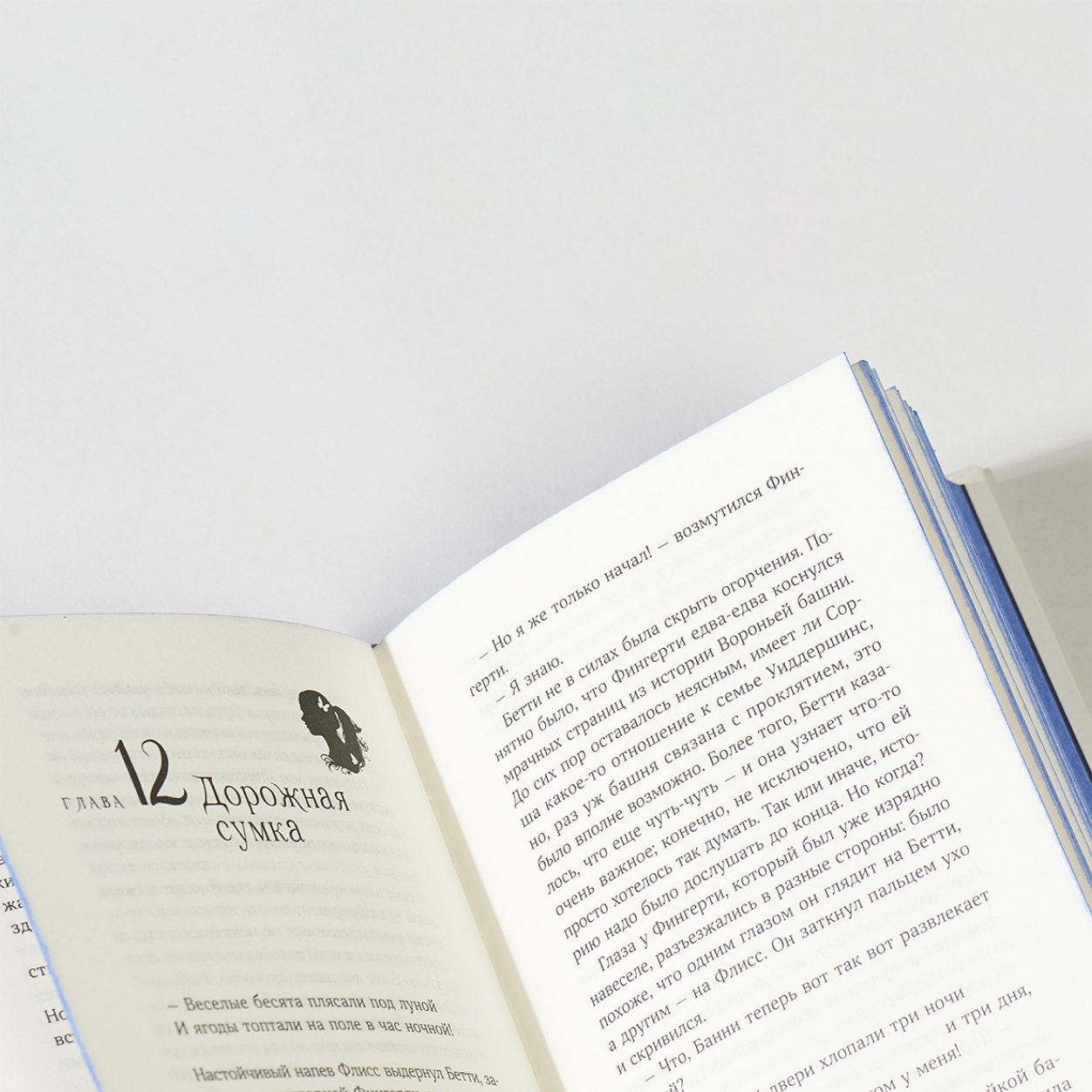 Книга Альпина. Дети Щепотка магии Фэнтези Книга для подростков - фото 14