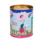 Набор для творчества Волшебная мастерская сборка Очарование