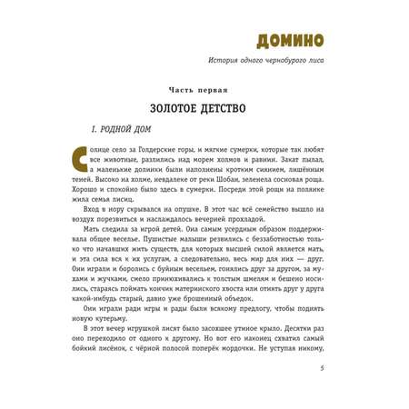 Книга Рассказы о животных иллюстрации Канивца