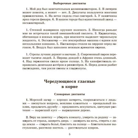 Книга ИД Литера Словарные проверочные и контрольные диктанты с 5 по 9 классы.