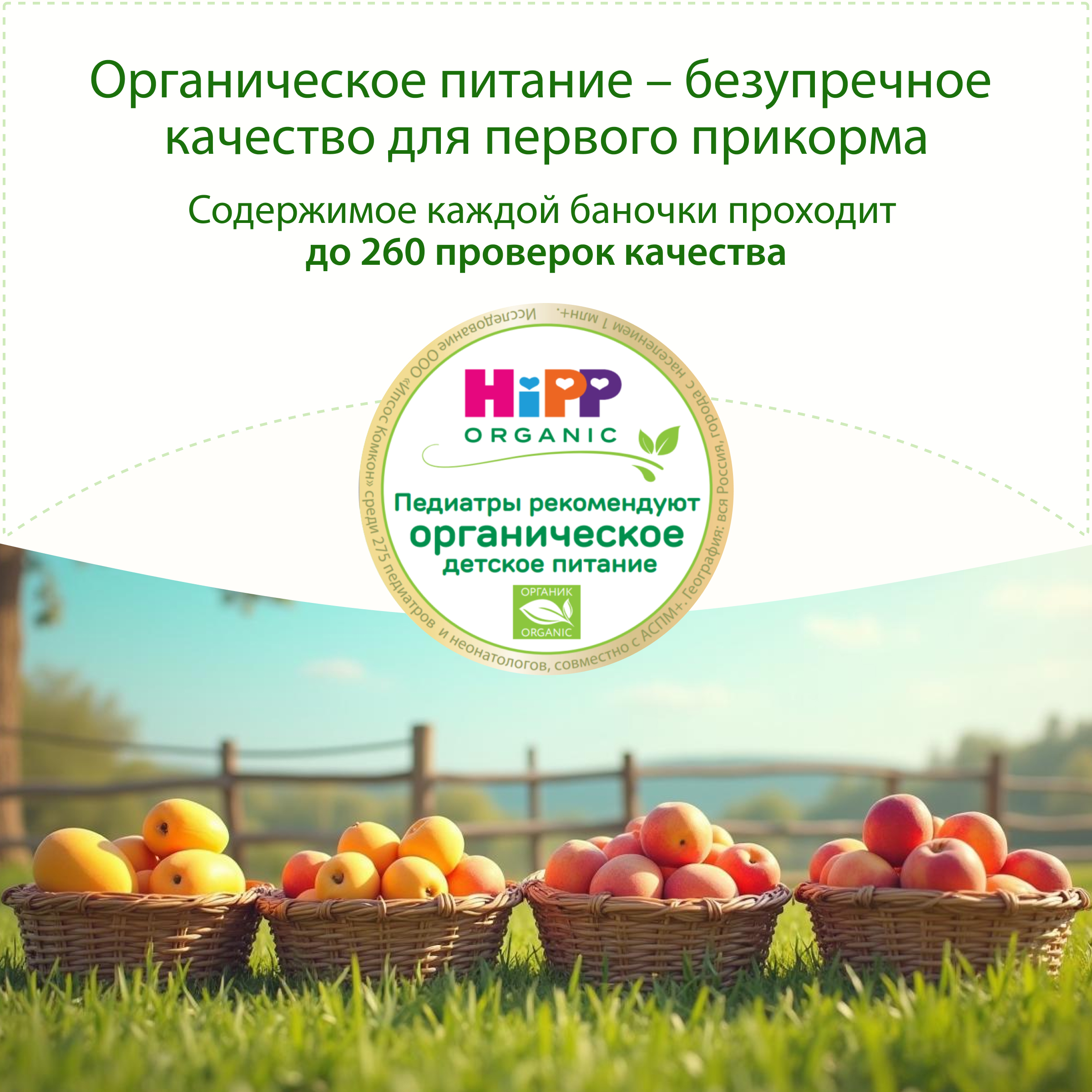 Десерт Hipp Манго с 6 мес 100 г - фото 3