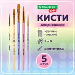 Кисть Brauberg 5 шт. (синтетика)