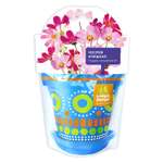 Набор для выращивания Happy Plant
