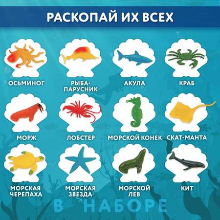 Набор для раскопок Brauberg