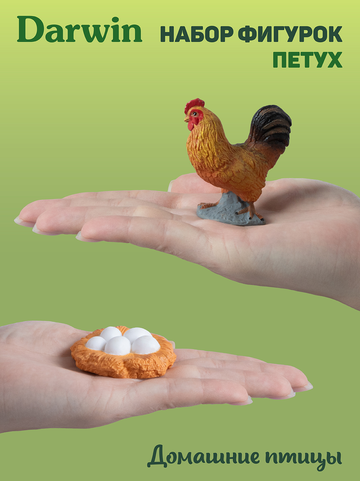 Игровой набор DARWIN Животные Петух - фото 2