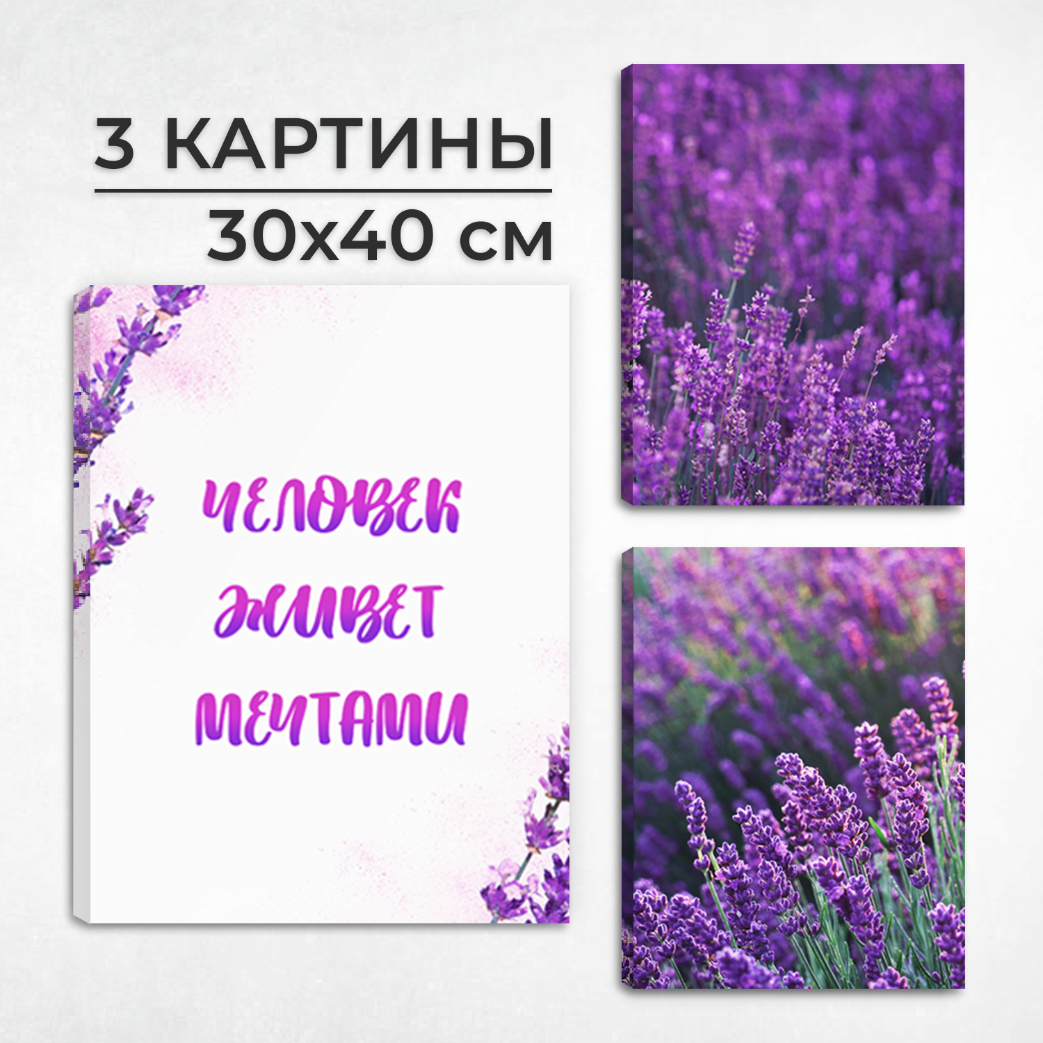 Комплект картин на холсте LORI интерьерных на стену 3 в 1 Лаванда 40х30 см - фото 1