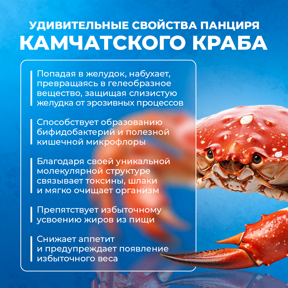 Хитозан Приморский Доктор Море Защита желудка и детокс при интоксикации и отравлениях/ нормализация работы ЖКТ/ 60 капсул - фото 3