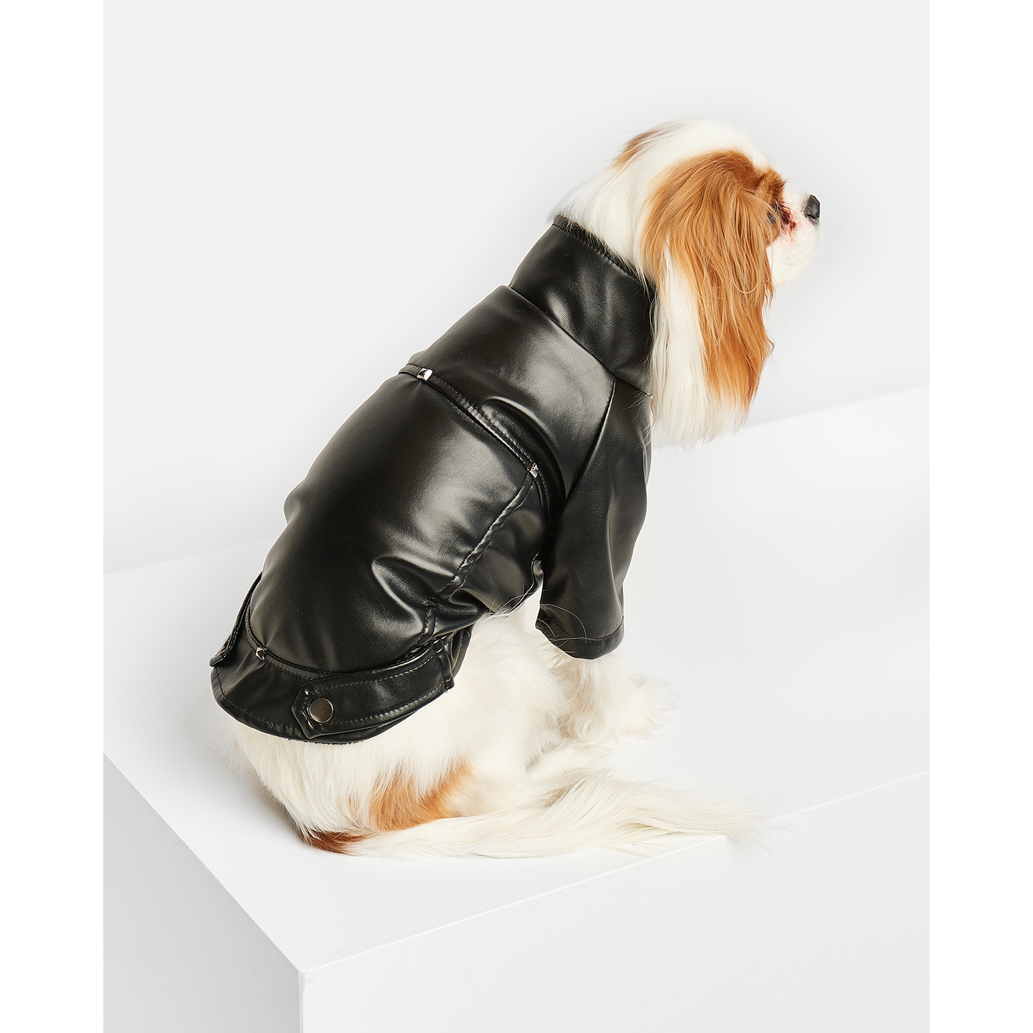 Куртка для собак Зоозавр черная 25 - фото 7