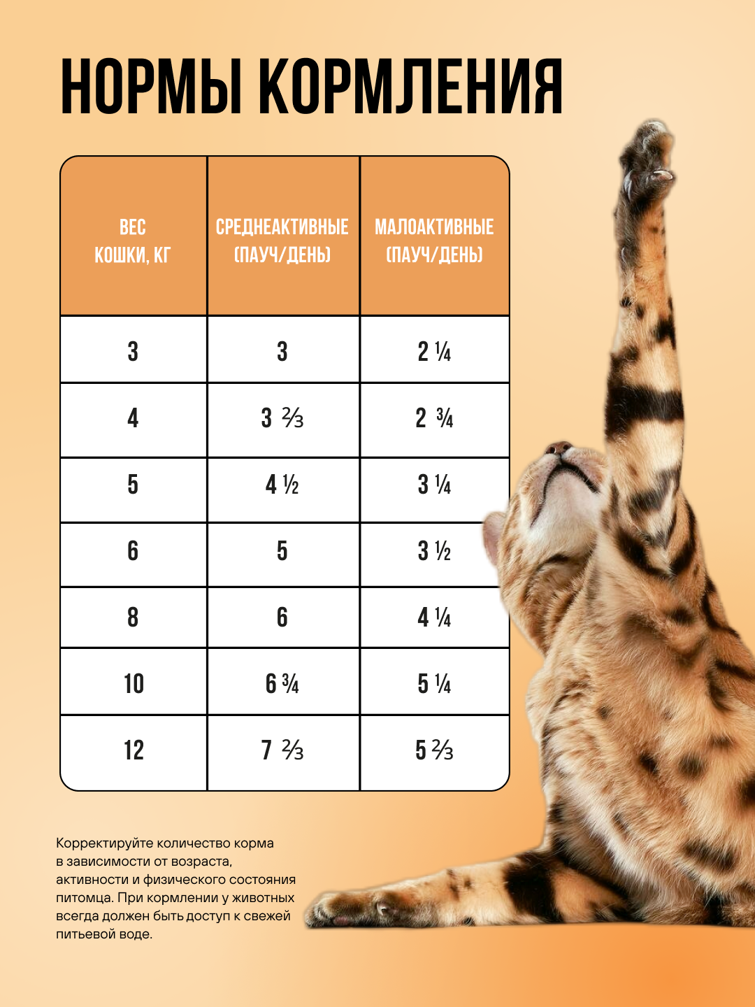 Полнорационный влажный корм BOWL WOW в соусе для кошек с чувствительным пищеварением с цыпленком и овощами 85г - фото 5