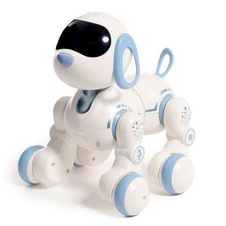 Собака РУ IQ BOT