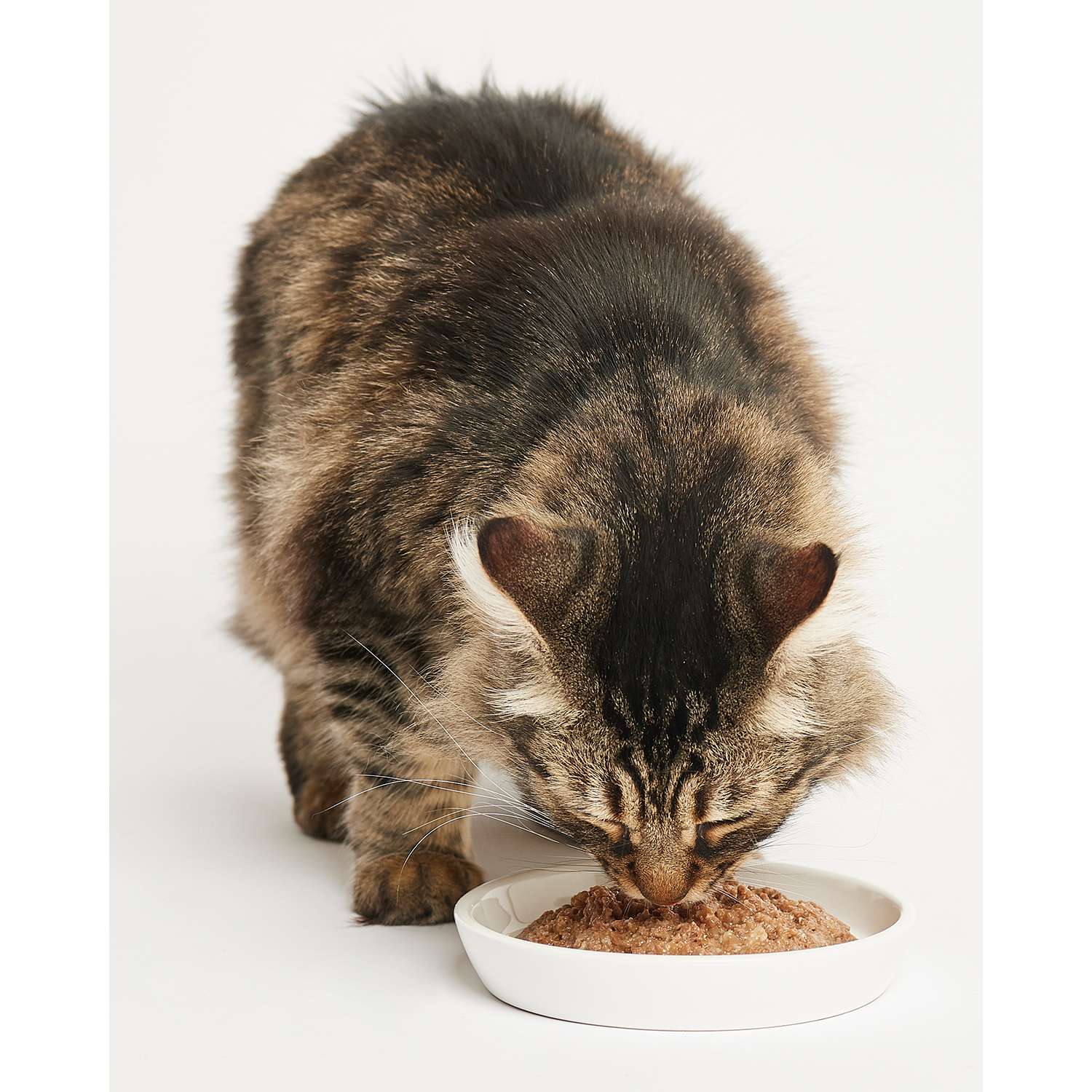 Корм для кошек Harty 100г паштет с лососем и форелью для взрослых консервированный - фото 4