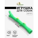 Игрушка Пижон Ветка пищащая для собак 21.5см зелёная 7471566