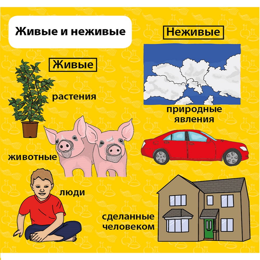 Настольная игра BrainBox - фото 5