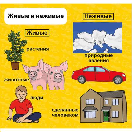 Настольная игра BrainBox
