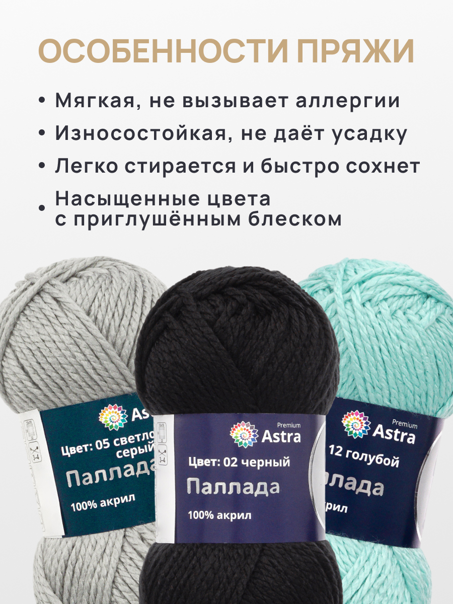 Пряжа Astra Premium Паллада акриловая 100 г 100 м 02 черный 3 мотка - фото 3