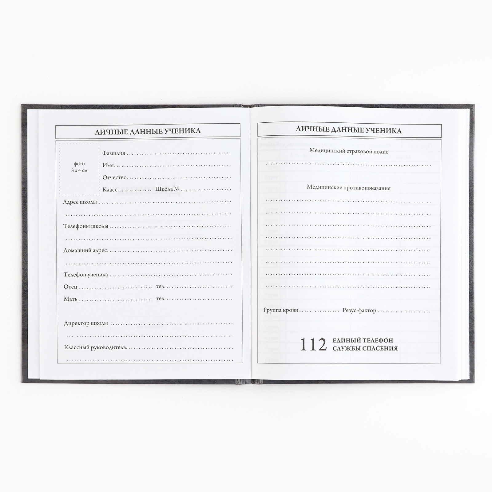 Дневник ArtFox STUDY школьный для 5-11 класса - фото 3