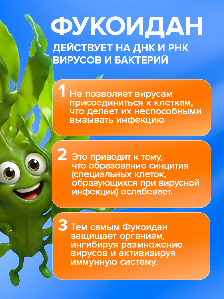 ИммуноСтимул Доктор Море морской комплекс витаминов защита от вирусов и бактерий от простуды и гриппа 20 капсул - фото 6