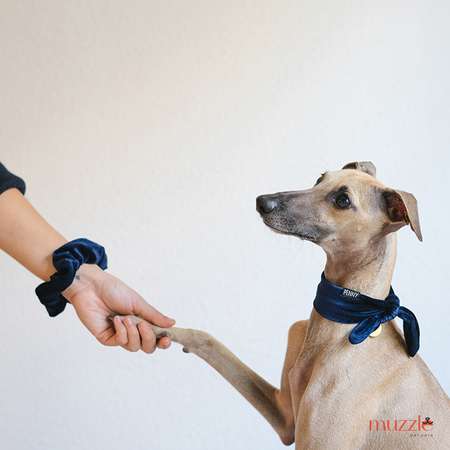 Защитный воск Muzzle для лап собак и кошек 100 мл