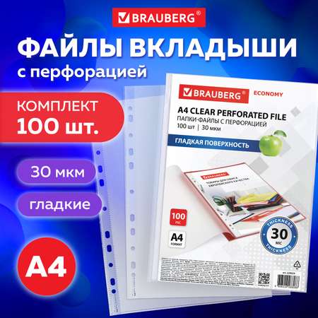 Папка-портфолио Brauberg А4