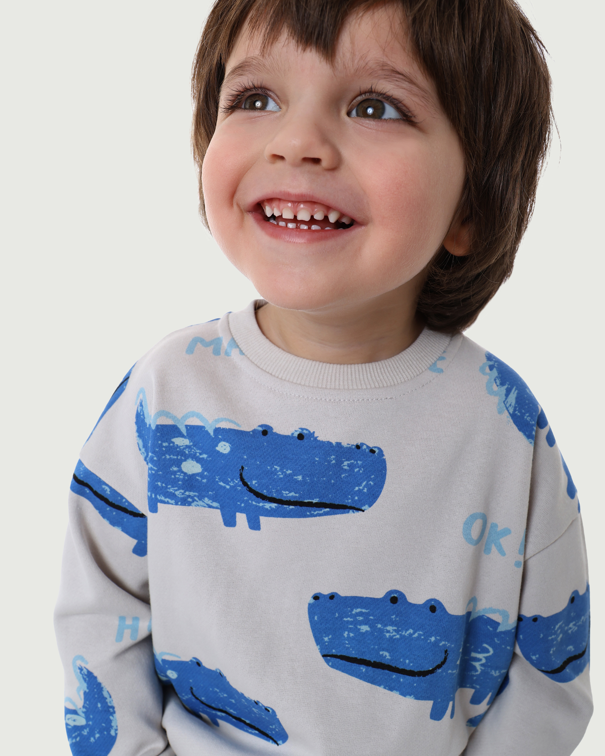 Свитшот BabyGo S26BG4BDT13AibLG - фото 1