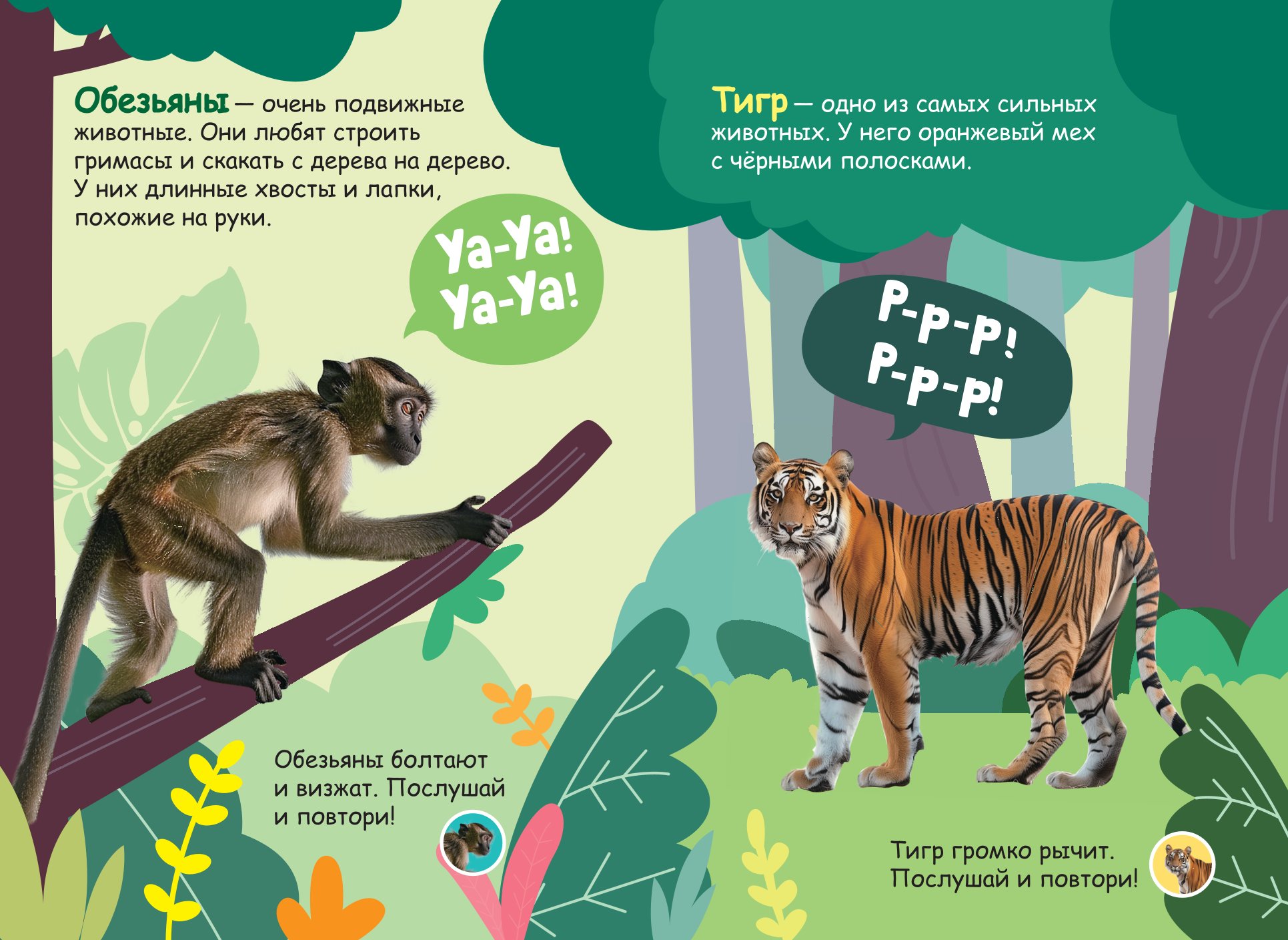 Книга АСТ Моя первая книга со звуками Дикие животные - фото 4