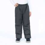 Изображение товара Брюки Arctic kids: 116