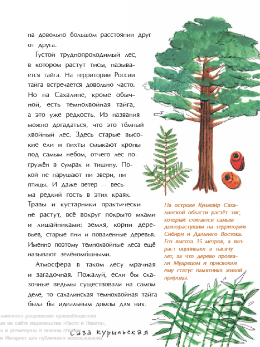 Книга для детей Настя и Никита развитие детей - фото 6