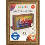 Настольная игра Игротека Кто живет в картине
