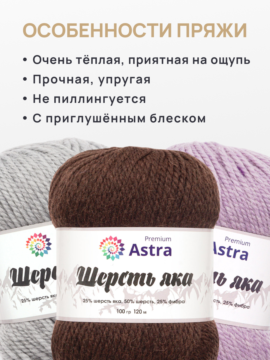 Пряжа для вязания Astra Premium 3 мм 200 м 400 г - фото 3