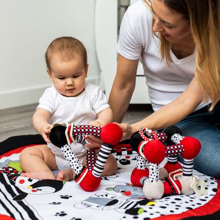 Игрушка Babyono подвеска в ассортименте