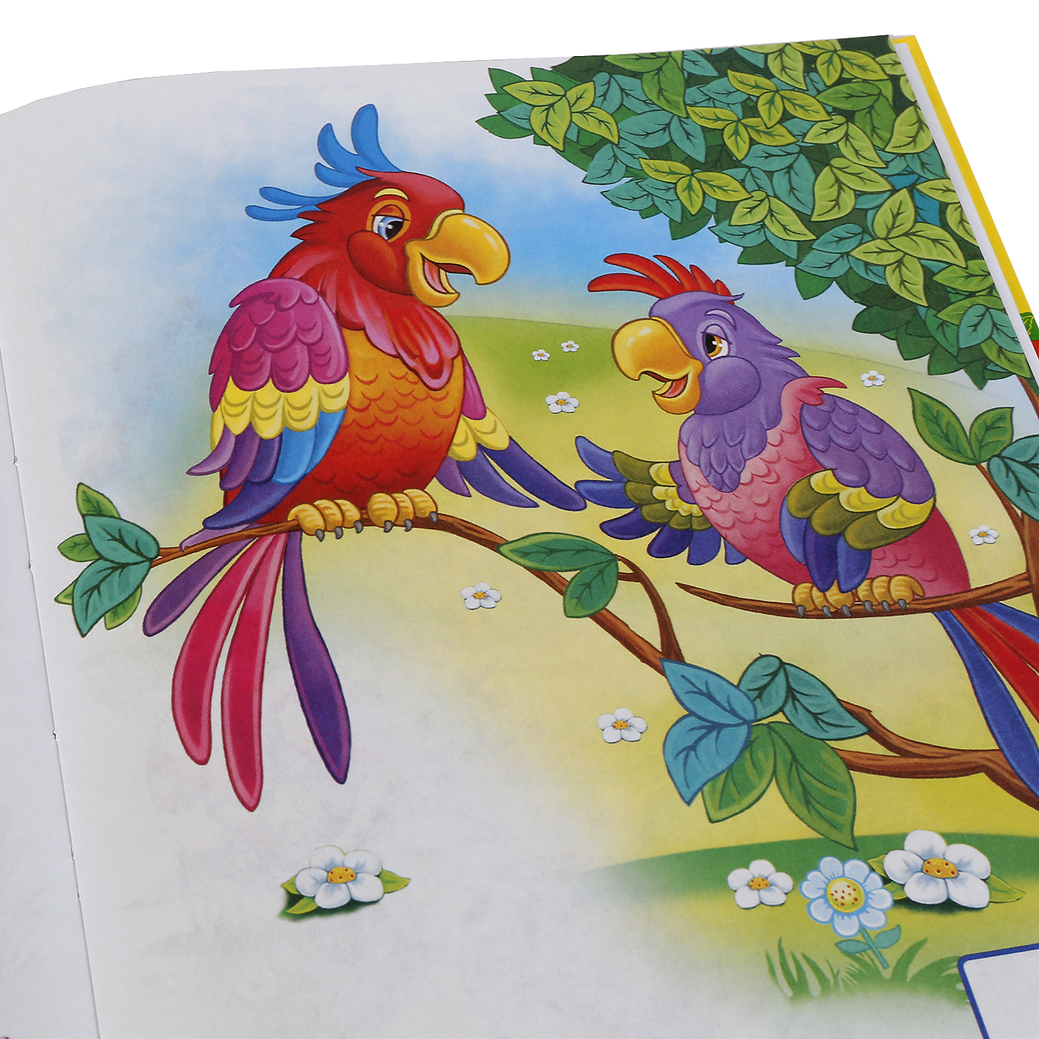 Книга УМка Энциклопедия дошкольника Дружинина - фото 3