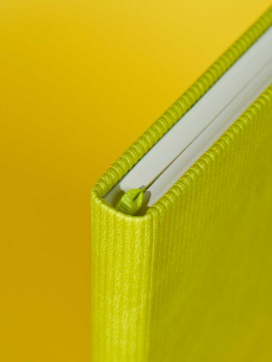 Ежедневник Феникс + ESCALADA 120 лист. - фото 7