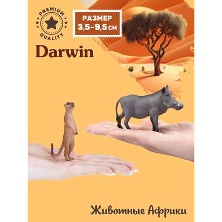Фигурка DARWIN Сурикат и Бородавочник