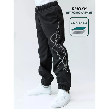 Брюки Lemonwear