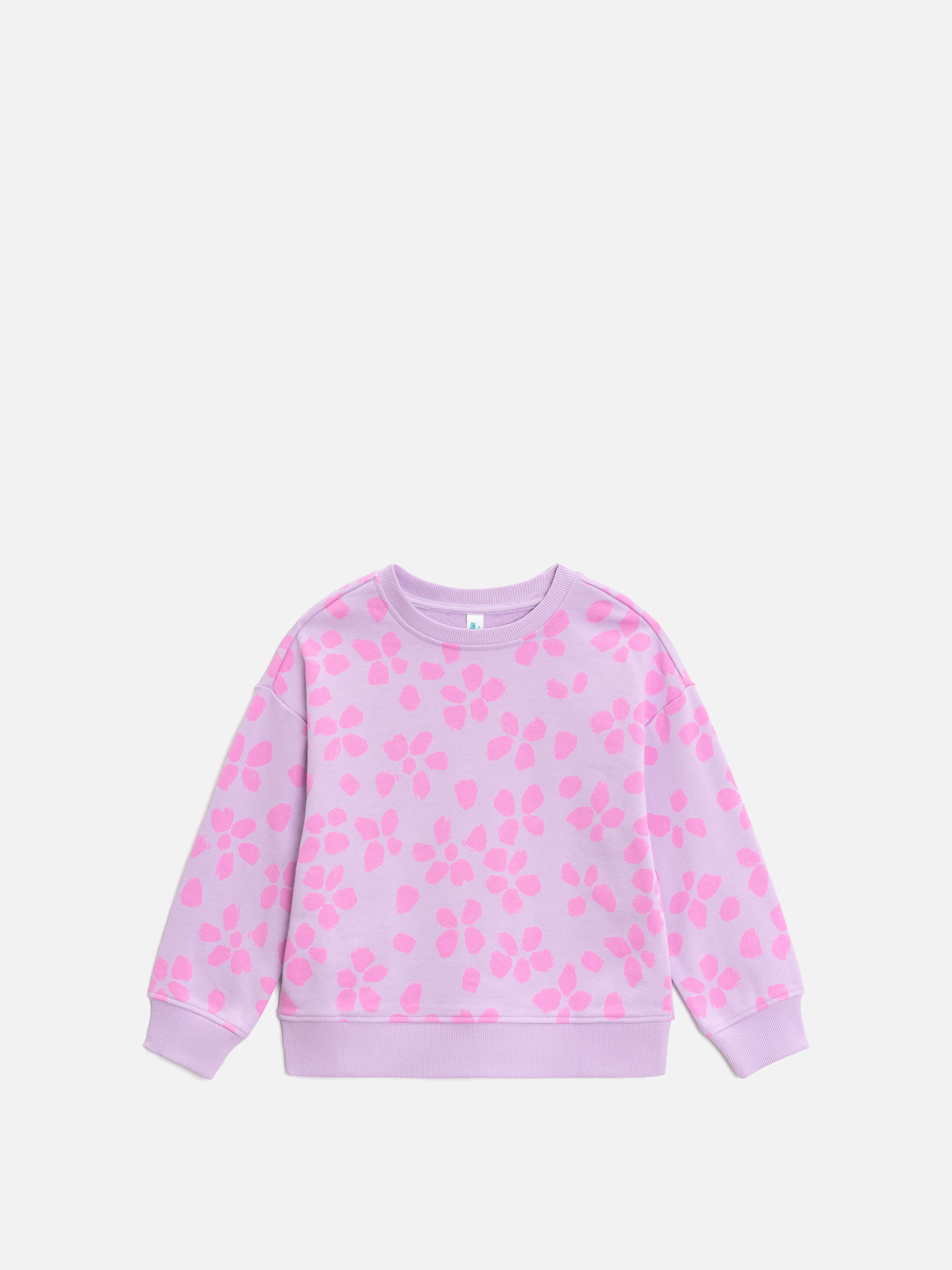 Свитшот Acoola 20220170173_0095461 - фото 2