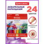 Карандаши акварельные Brauberg 24 шт.