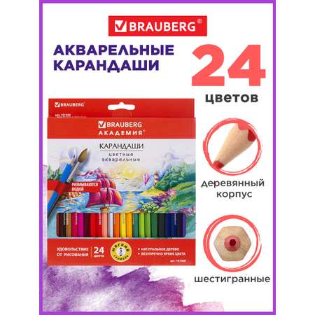 Карандаши акварельные Brauberg 24 шт.