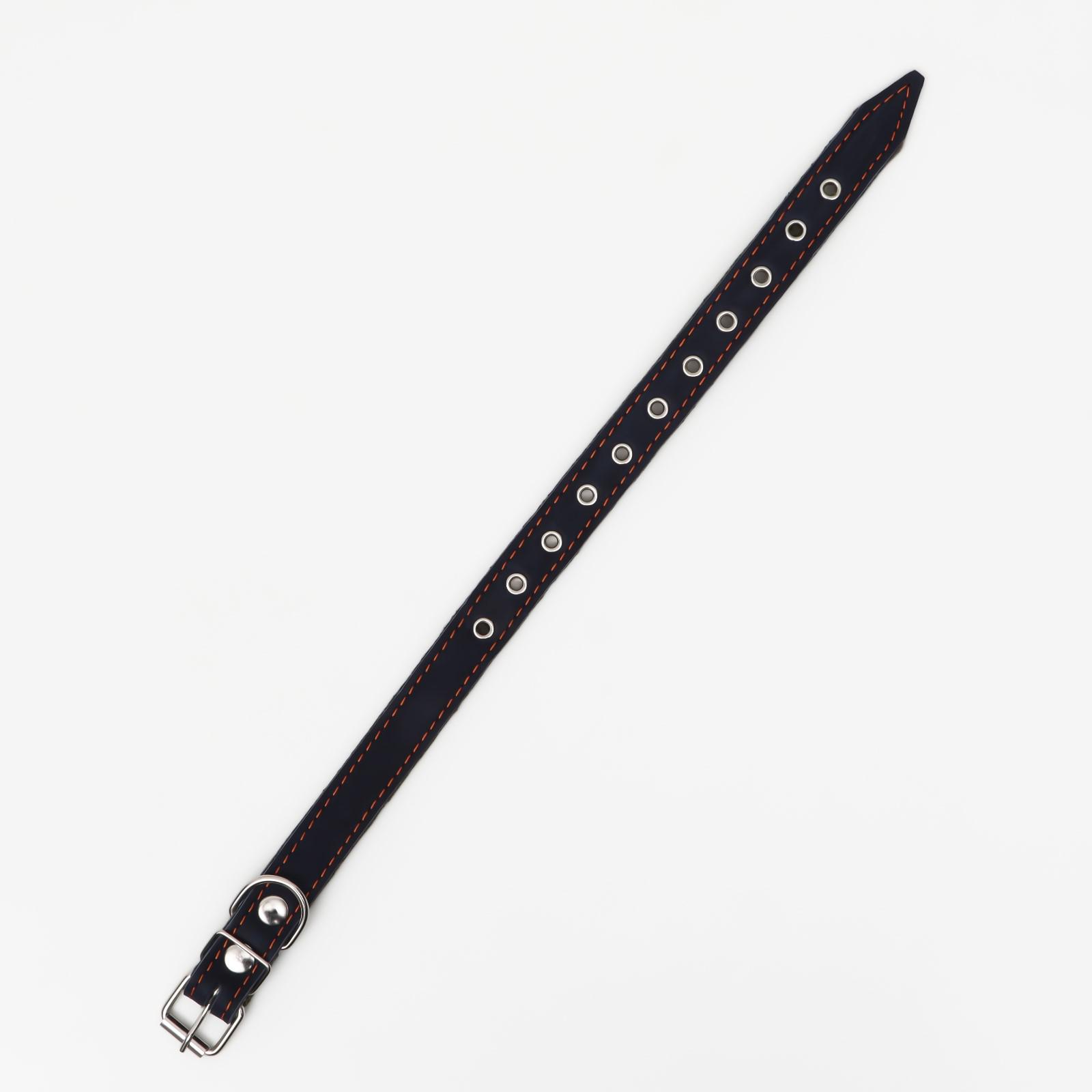 Ошейник Пижон кожа/брезент безразмерный 54 х 2.5 см синий - фото 3